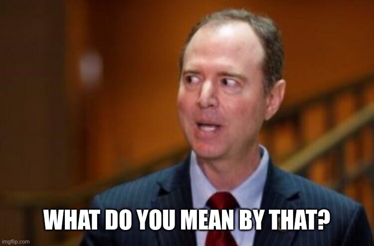 Adam Schiff | WHAT DO YOU MEAN BY THAT? | image tagged in adam schiff | made w/ Imgflip meme maker