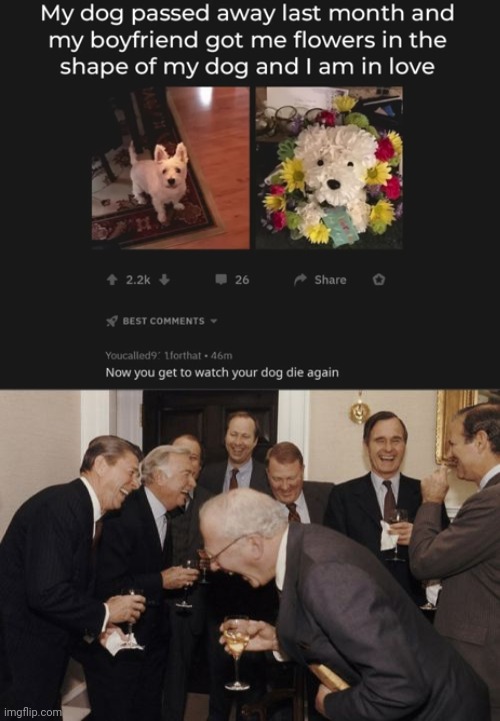 This is the best XD (#2,354) | image tagged in memes,laughing men in suits,comments,funny,flowers,dogs | made w/ Imgflip meme maker