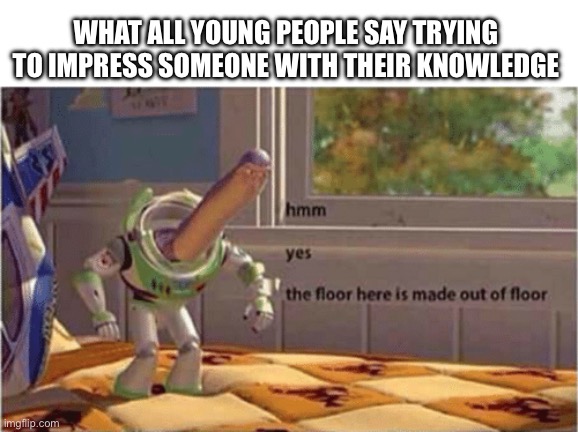 Sadly it’s true | WHAT ALL YOUNG PEOPLE SAY TRYING TO IMPRESS SOMEONE WITH THEIR KNOWLEDGE | image tagged in hmm yes the floor here is made out of floor,memes,funny,impress | made w/ Imgflip meme maker