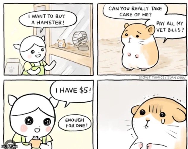 Aww | image tagged in hampster,comics/cartoons | made w/ Imgflip meme maker