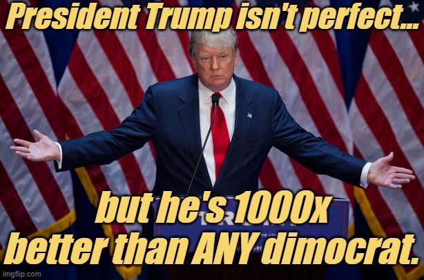 Donald Trump | President Trump isn't perfect... but he's 1000x better than ANY dimocrat. | image tagged in donald trump | made w/ Imgflip meme maker