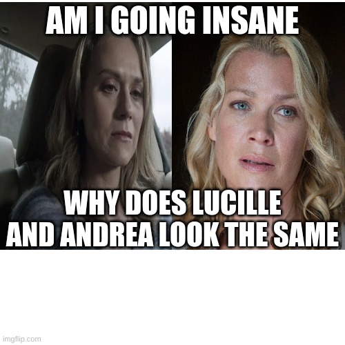 i dont know what do think | AM I GOING INSANE; WHY DOES LUCILLE AND ANDREA LOOK THE SAME | image tagged in the walking dead,memes | made w/ Imgflip meme maker