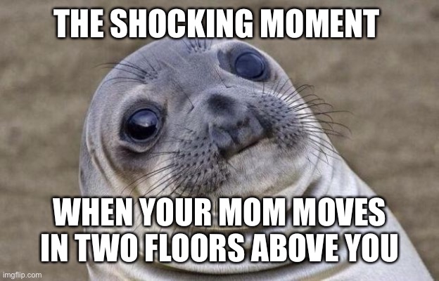 Awkward Moment Sealion | THE SHOCKING MOMENT; WHEN YOUR MOM MOVES IN TWO FLOORS ABOVE YOU | image tagged in memes,awkward moment sealion | made w/ Imgflip meme maker