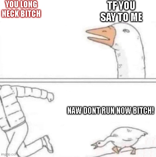 duck chase | YOU LONG NECK BITCH; TF YOU SAY TO ME; NAW DONT RUN NOW BITCH! | image tagged in goose chase | made w/ Imgflip meme maker