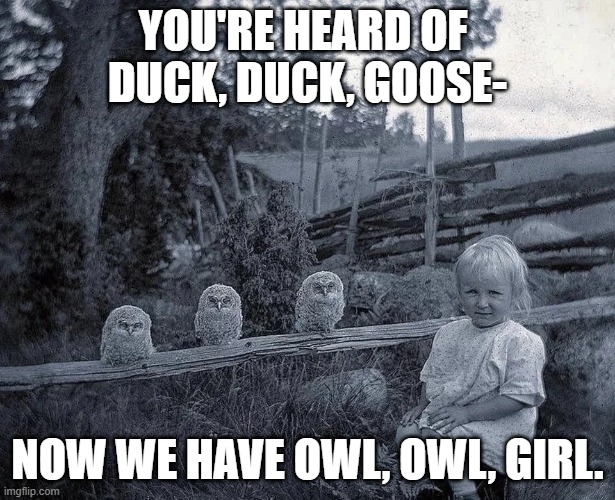 I don't know how it's played | YOU'RE HEARD OF 
DUCK, DUCK, GOOSE-; NOW WE HAVE OWL, OWL, GIRL. | image tagged in owl,owls,duck duck goose,girl,dad joke,old photo | made w/ Imgflip meme maker