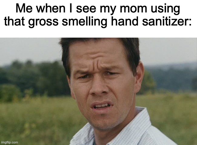 I had one that smelt HORRIBLE | Me when I see my mom using that gross smelling hand sanitizer: | image tagged in mark wahlburg confused | made w/ Imgflip meme maker