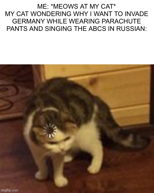 Logic.exe has stopped working | ME: *MEOWS AT MY CAT*
MY CAT WONDERING WHY I WANT TO INVADE GERMANY WHILE WEARING PARACHUTE PANTS AND SINGING THE ABCS IN RUSSIAN: | image tagged in loading cat | made w/ Imgflip meme maker