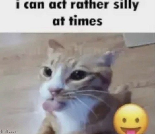 i can act rather silly | image tagged in i can act rather silly | made w/ Imgflip meme maker