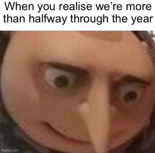 How | When you realise we’re more than halfway through the year | image tagged in gru meme | made w/ Imgflip meme maker