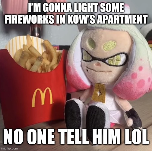 Happy 4th of July, Kow! | I’M GONNA LIGHT SOME FIREWORKS IN KOW’S APARTMENT; NO ONE TELL HIM LOL | image tagged in fry,memes | made w/ Imgflip meme maker