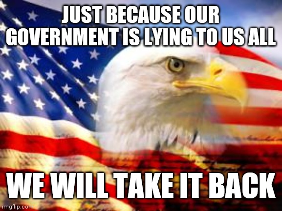 I Am A Patriotic American | JUST BECAUSE OUR GOVERNMENT IS LYING TO US ALL; WE WILL TAKE IT BACK | image tagged in american flag,your government hates you,schools,god bless america,learn our history,civil war 2 | made w/ Imgflip meme maker