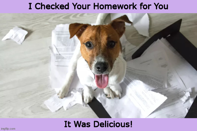 I Checked Your Homework for You | image tagged in dog,dogs,dog ate homework,homework,funny,memes | made w/ Imgflip meme maker