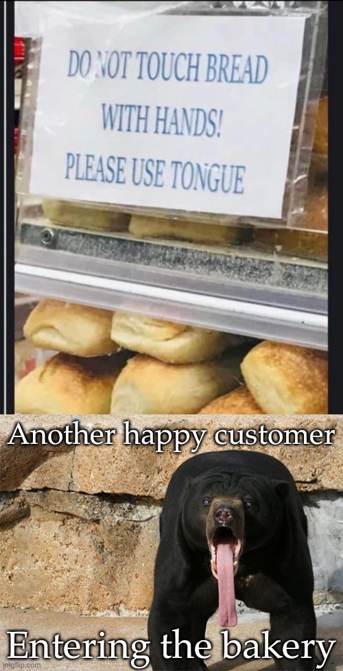 Tongues | Another happy customer; Entering the bakery | image tagged in bear with tongue sticking out,tongue,bear,bakery,bread | made w/ Imgflip meme maker