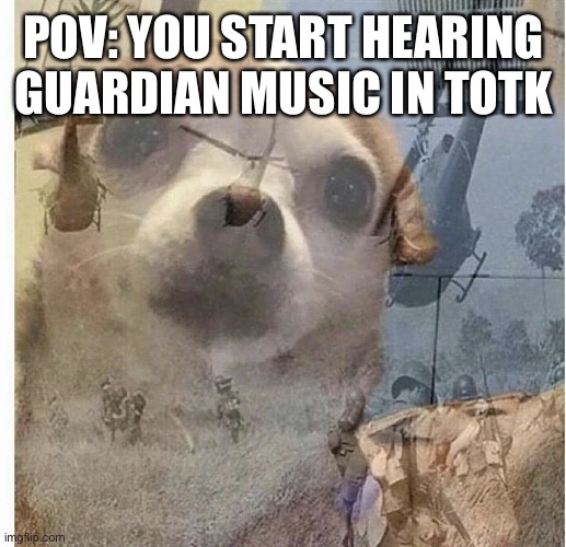 PTSD Chihuahua | POV: YOU START HEARING GUARDIAN MUSIC IN TOTK | image tagged in ptsd chihuahua | made w/ Imgflip meme maker