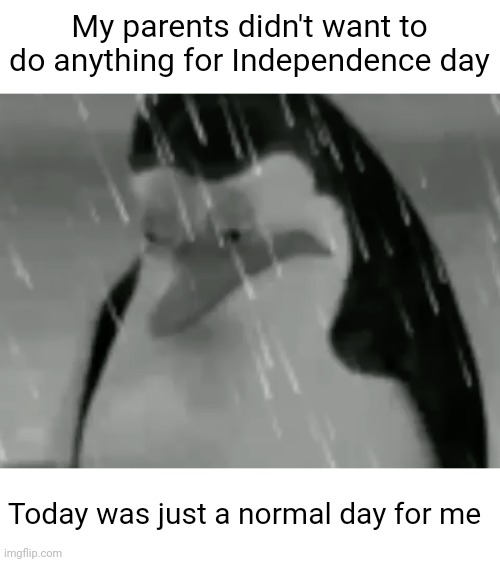 Meme #2,355 | My parents didn't want to do anything for Independence day; Today was just a normal day for me | image tagged in sadge,sad,independence day,4th of july,parents,nothing | made w/ Imgflip meme maker