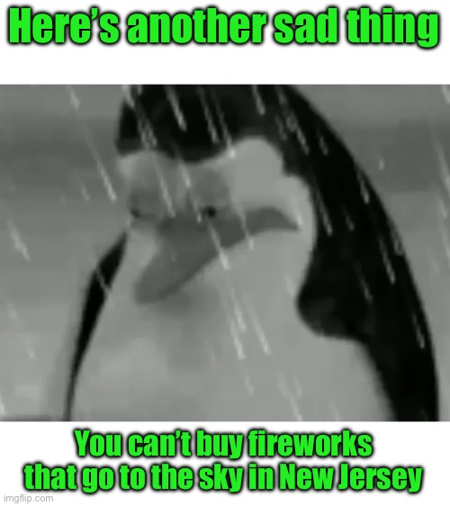Sadge | Here’s another sad thing You can’t buy fireworks that go to the sky in New Jersey | image tagged in sadge | made w/ Imgflip meme maker