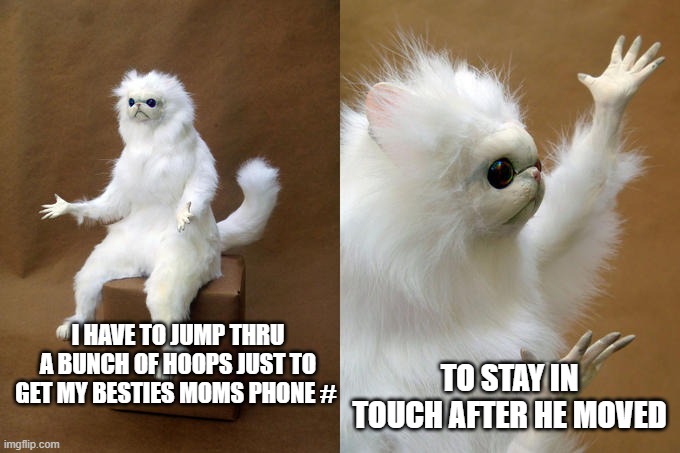 Persian Cat Room Guardian Meme | TO STAY IN TOUCH AFTER HE MOVED; I HAVE TO JUMP THRU A BUNCH OF HOOPS JUST TO GET MY BESTIES MOMS PHONE # | image tagged in memes,persian cat room guardian | made w/ Imgflip meme maker
