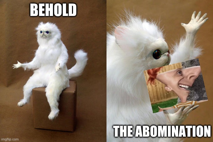 Persian Cat Room Guardian Meme | BEHOLD; THE ABOMINATION | image tagged in memes,persian cat room guardian | made w/ Imgflip meme maker