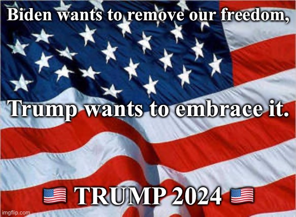 Happy independence day everyone. | Biden wants to remove our freedom, Trump wants to embrace it. 🇺🇸 TRUMP 2024 🇺🇸 | image tagged in usa flag | made w/ Imgflip meme maker