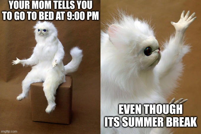Objection | YOUR MOM TELLS YOU TO GO TO BED AT 9:00 PM; EVEN THOUGH ITS SUMMER BREAK | image tagged in memes,persian cat room guardian | made w/ Imgflip meme maker