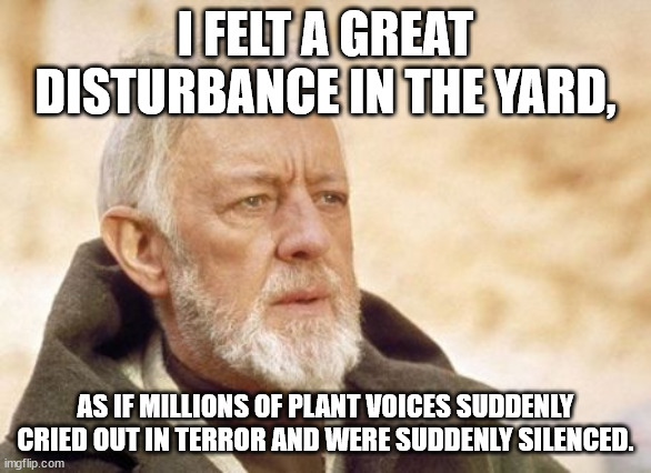 Obi Wan Kenobi Meme | I FELT A GREAT DISTURBANCE IN THE YARD, AS IF MILLIONS OF PLANT VOICES SUDDENLY CRIED OUT IN TERROR AND WERE SUDDENLY SILENCED. | image tagged in memes,obi wan kenobi | made w/ Imgflip meme maker