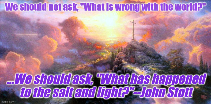 John Stott | We should not ask, "What is wrong with the world?"; ...We should ask, "What has happened to the salt and light?"--John Stott | image tagged in saltandlight | made w/ Imgflip meme maker