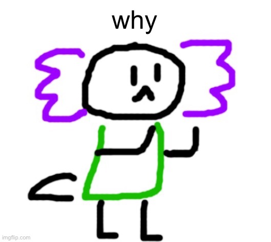 saki axolotl temp | why | image tagged in saki axolotl | made w/ Imgflip meme maker