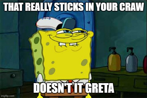 Don't You Squidward Meme | THAT REALLY STICKS IN YOUR CRAW DOESN'T IT GRETA | image tagged in memes,don't you squidward | made w/ Imgflip meme maker