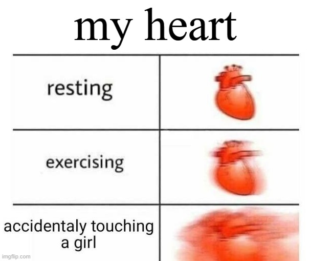 my heart | image tagged in heart,heartbeat rate | made w/ Imgflip meme maker