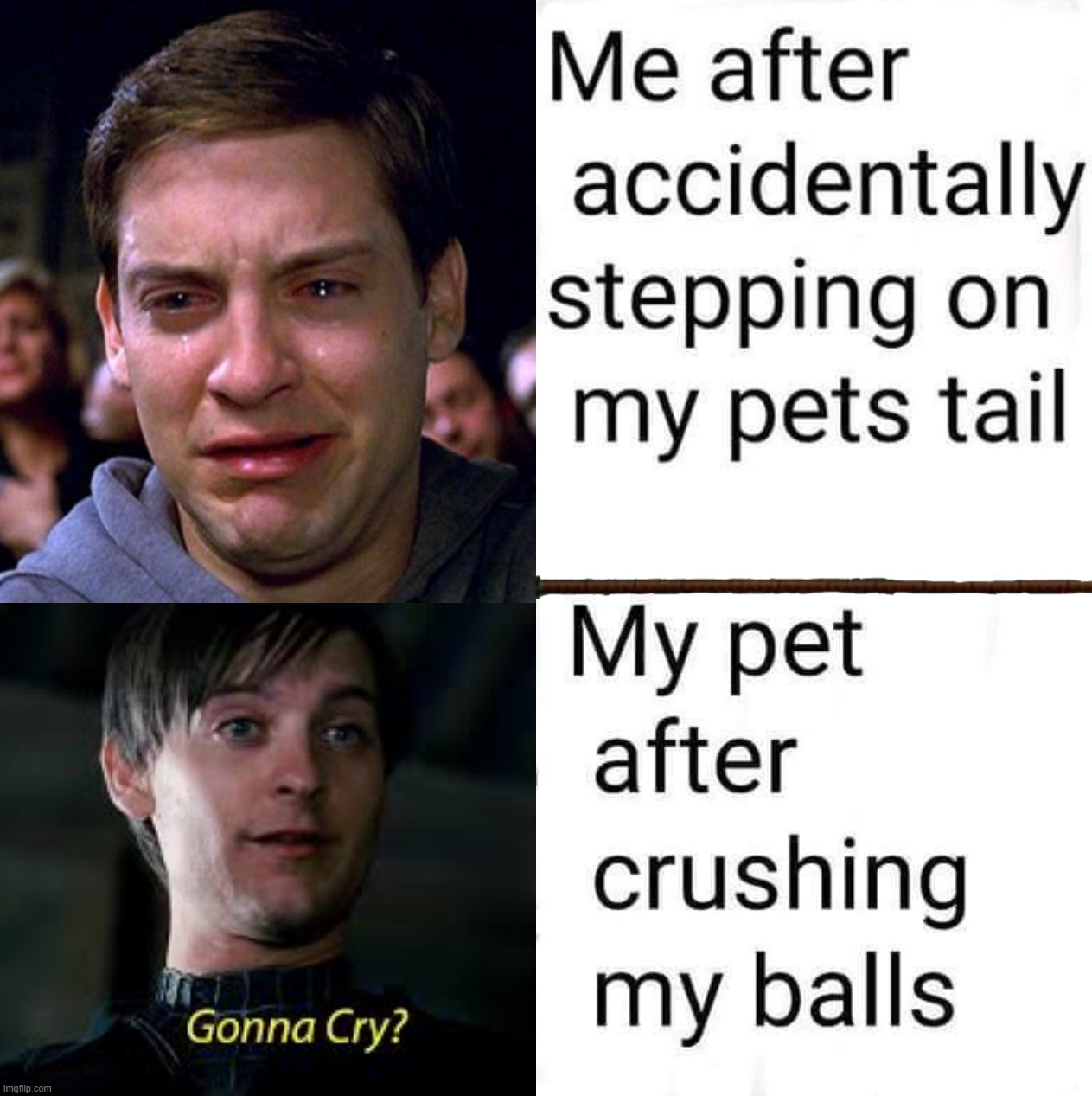 Dogs | image tagged in crying peter parker,gonna cry | made w/ Imgflip meme maker