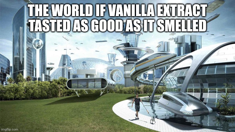 ⚱ | THE WORLD IF VANILLA EXTRACT TASTED AS GOOD AS IT SMELLED | image tagged in the future world if | made w/ Imgflip meme maker