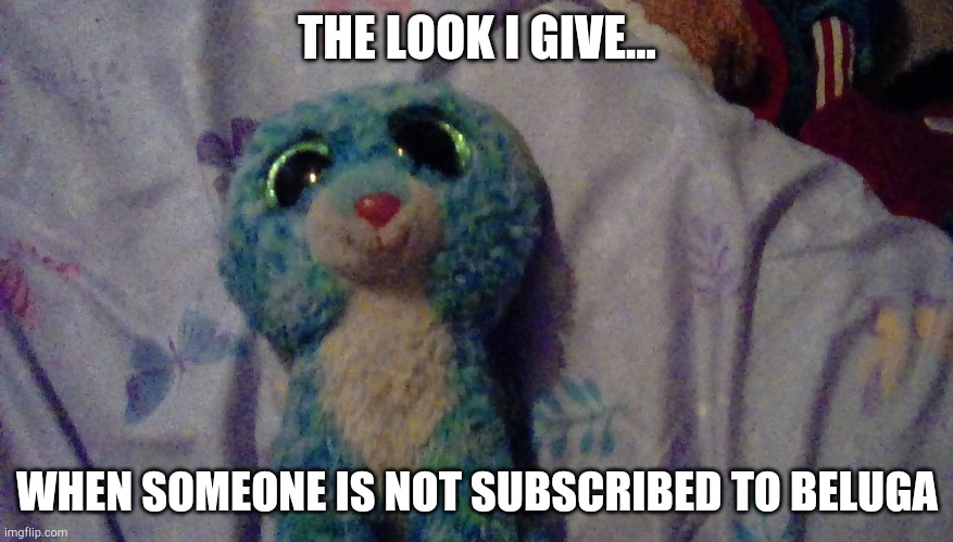 A plushies | THE LOOK I GIVE... WHEN SOMEONE IS NOT SUBSCRIBED TO BELUGA | image tagged in kat,omegaytp,me | made w/ Imgflip meme maker