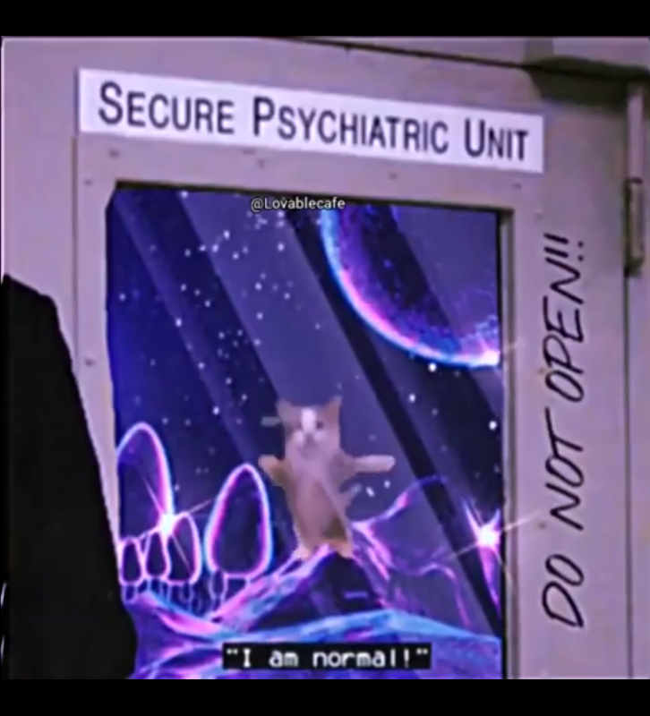 High Quality I am normal, secure psychiatric unit. Blank Meme Template