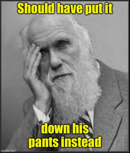 darwin facepalm | Should have put it down his pants instead | image tagged in darwin facepalm | made w/ Imgflip meme maker