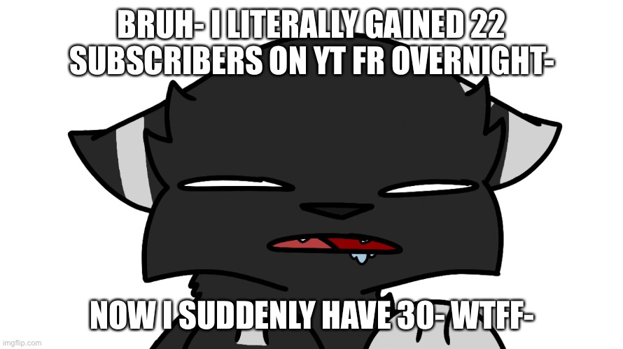 Eh | BRUH- I LITERALLY GAINED 22 SUBSCRIBERS ON YT FR OVERNIGHT-; NOW I SUDDENLY HAVE 30- WTFF- | image tagged in darkie confusion | made w/ Imgflip meme maker