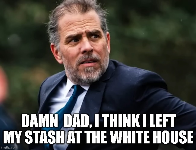 DAMN  DAD, I THINK I LEFT MY STASH AT THE WHITE HOUSE | made w/ Imgflip meme maker