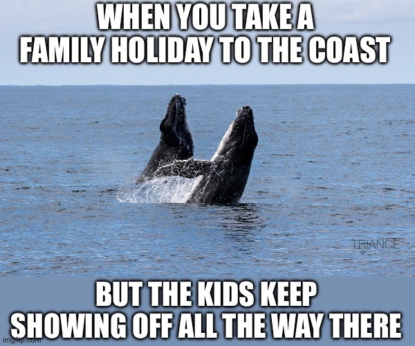 People watching whales | WHEN YOU TAKE A FAMILY HOLIDAY TO THE COAST; BUT THE KIDS KEEP SHOWING OFF ALL THE WAY THERE | image tagged in whales,show off,kids,coast | made w/ Imgflip meme maker