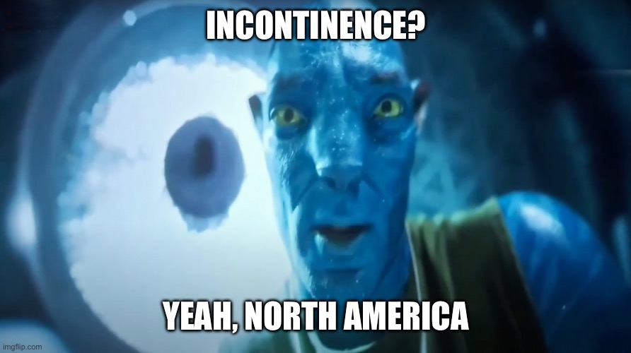 Staring Avatar Guy | INCONTINENCE? YEAH, NORTH AMERICA | image tagged in staring avatar guy | made w/ Imgflip meme maker