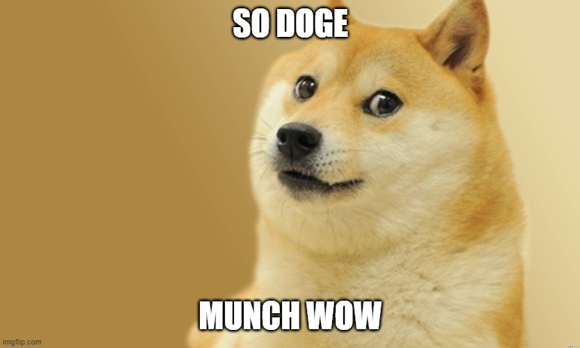 The Doge | SO DOGE; MUNCH WOW | image tagged in doge meme | made w/ Imgflip meme maker