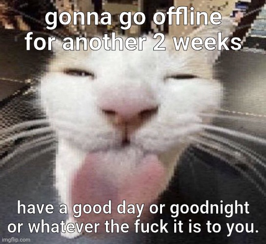 Velatino | gonna go offline for another 2 weeks; have a good day or goodnight or whatever the fuck it is to you. | image tagged in velatino | made w/ Imgflip meme maker