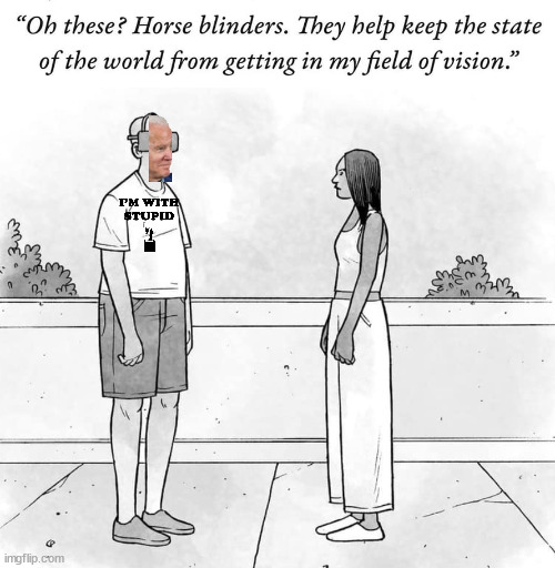 Joe is "blind" to it all | image tagged in political meme | made w/ Imgflip meme maker