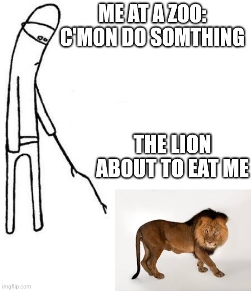c'mon do something | ME AT A ZOO: C'MON DO SOMTHING; THE LION ABOUT TO EAT ME | image tagged in c'mon do something,meme,worst mistake of my life,be nice,lion king,lion | made w/ Imgflip meme maker