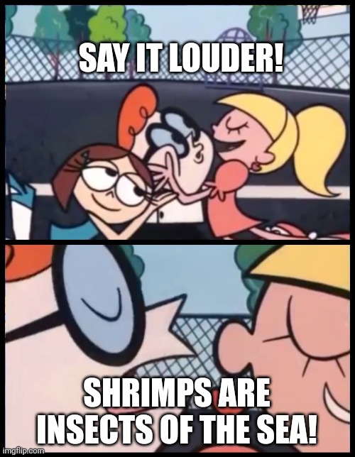 Say it Again, Dexter Meme | SAY IT LOUDER! SHRIMPS ARE INSECTS OF THE SEA! | image tagged in memes,sea,insect | made w/ Imgflip meme maker