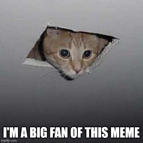 Ceiling Cat Meme | I'M A BIG FAN OF THIS MEME | image tagged in memes,ceiling cat | made w/ Imgflip meme maker
