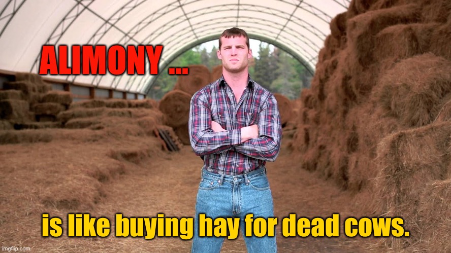 Alimony | ALIMONY ... is like buying hay for dead cows. | image tagged in letterkenny,alimony,buying hay,for dead cows,fun | made w/ Imgflip meme maker