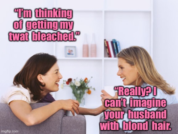 Twat bleaching | “I’m  thinking of  getting my  twat  bleached.”; “Really? I can’t  imagine your  husband with  blond  hair. | image tagged in women talking,getting twat bleached,cannot imagine,john with blond hair | made w/ Imgflip meme maker