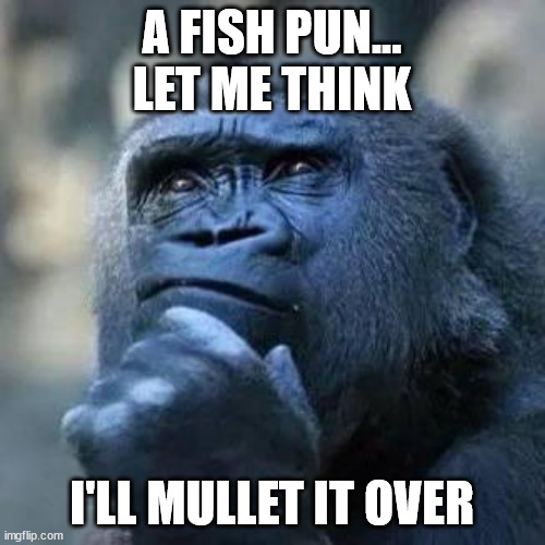 Thinking ape | A FISH PUN... LET ME THINK I'LL MULLET IT OVER | image tagged in thinking ape | made w/ Imgflip meme maker