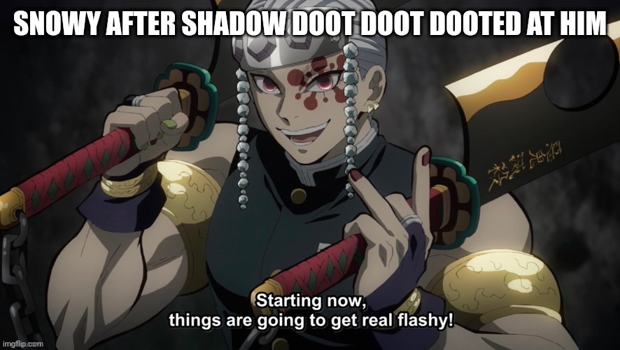 starting now things are going to get flashy | SNOWY AFTER SHADOW DOOT DOOT DOOTED AT HIM | image tagged in starting now things are going to get flashy | made w/ Imgflip meme maker