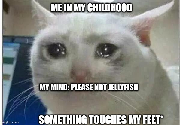 True fact I am scared of jellyfish | ME IN MY CHILDHOOD; MY MIND: PLEASE NOT JELLYFISH; SOMETHING TOUCHES MY FEET* | image tagged in crying cat,jellyfish | made w/ Imgflip meme maker