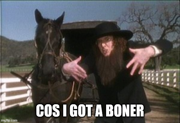 Weird Al Amish | COS I GOT A BONER | image tagged in weird al amish | made w/ Imgflip meme maker